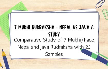 Comparative Study of 7 Mukhi/Face Nepal and Java Rudraksha