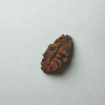 Pure Consciousness Bead – Indonesian 1 Mukhi