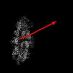 Pure Consciousness Bead – Indonesian 1 Mukhi