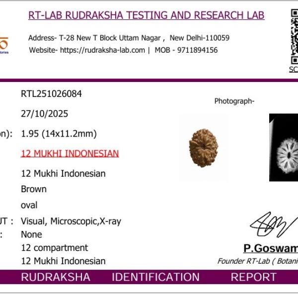 🌞12 Mukhi Indonesian Rudraksha (12–14mm with X-Ray) – Radiance of Lord Surya for Leadership, Confidence & Vitality