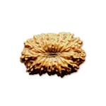 17 Mukhi Indonesian Rudraksha (16mm+ with X-Ray) – Divine Grace of Goddess Katyayani for Prosperity, Relationships & Spiritual Growth