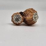 Garbh Gauri From Java