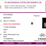 7 Mukhi Indonesian Rudraksha 17mm+ – Lab Certified Full Compartment Bead with X-Ray Certificate | Rudraksha-Store