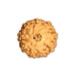 9 Mukhi Indonesian Rudraksha (Big Size with X-Ray) – Divine Energy of Goddess Durga for Power, Protection & Fearlessness